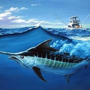 Meet your Posher, Peter